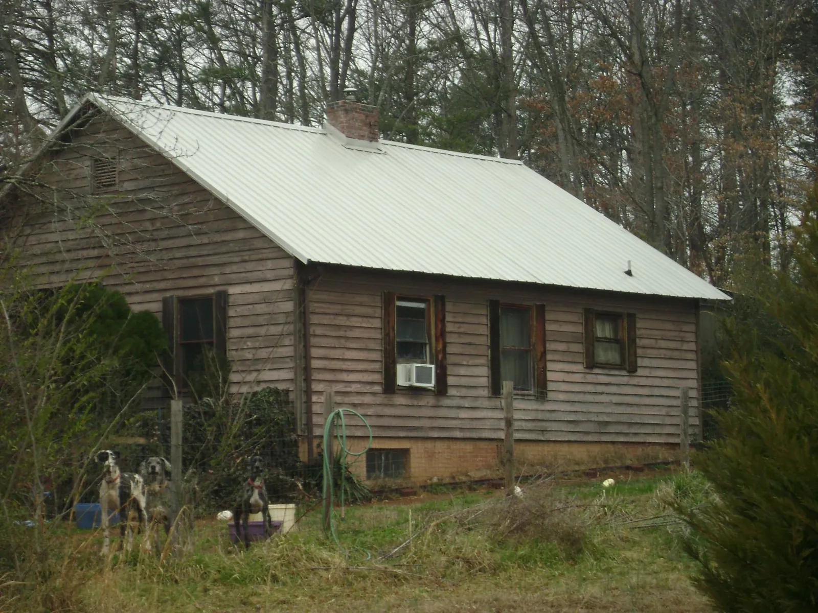 White metal roof on an old wood sided farmhouse, from a Asphalt Shingle Roof Repair job in Piedmont